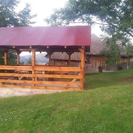 Cabana Bunicilor Rachitele Bagian luar foto