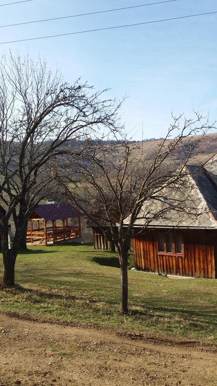 Cabana Bunicilor Rachitele Bagian luar foto
