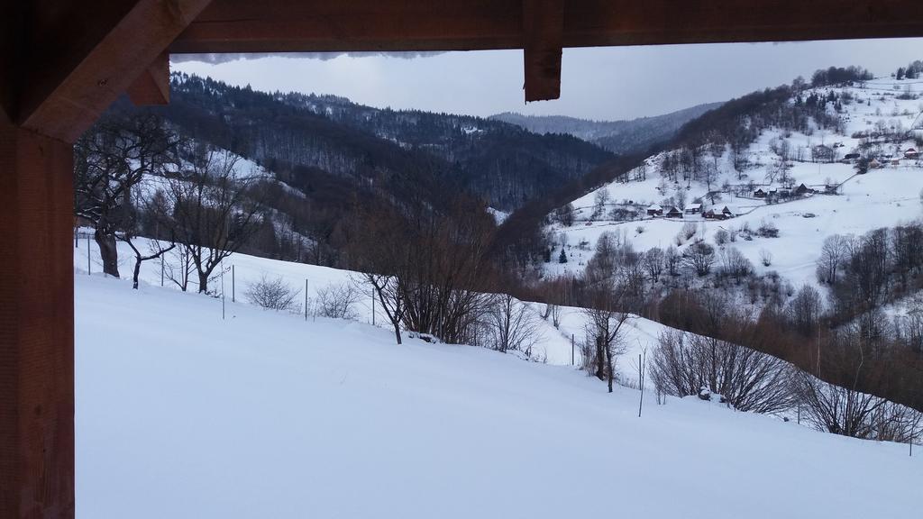 Cabana Bunicilor Rachitele Bagian luar foto