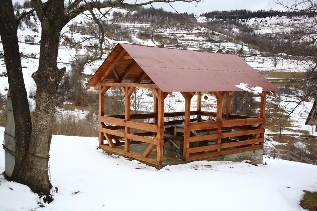 Cabana Bunicilor Rachitele Bagian luar foto